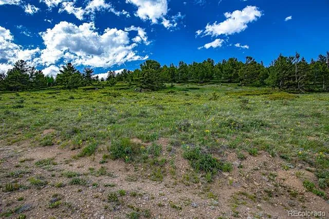 123 Mosquito Creek Road Black Hawk, CO 80422