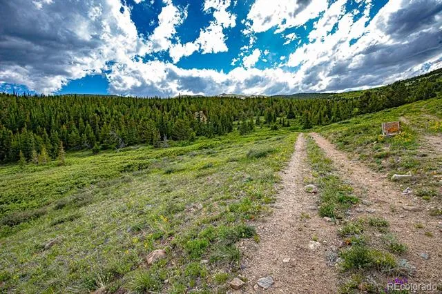 123 Mosquito Creek Road Black Hawk, CO 80422