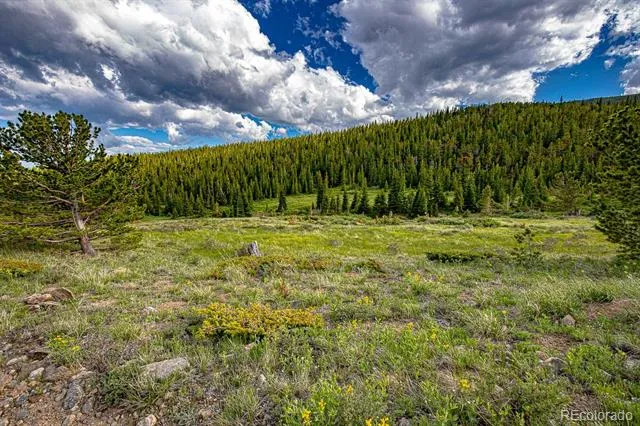 123 Mosquito Creek Road Black Hawk, CO 80422