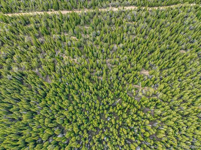 123 Mosquito Creek Road Black Hawk, CO 80422