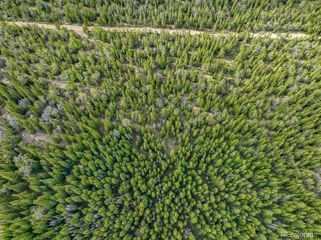 123 Mosquito Creek Road Black Hawk, CO 80422