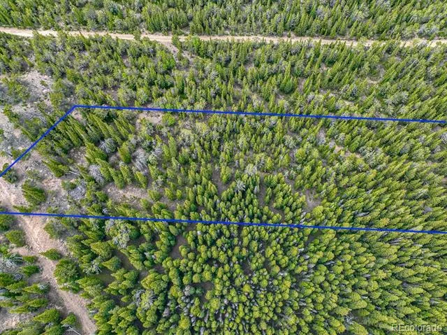 123 Mosquito Creek Road Black Hawk, CO 80422