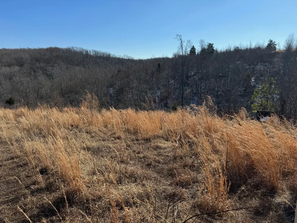 169 Twin Pines Rd Lobelville, TN 37097