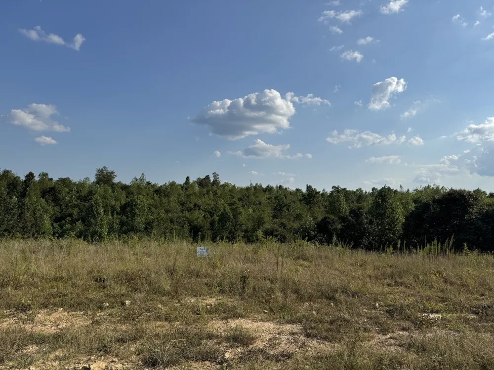 169 Twin Pines Rd Lobelville, TN 37097