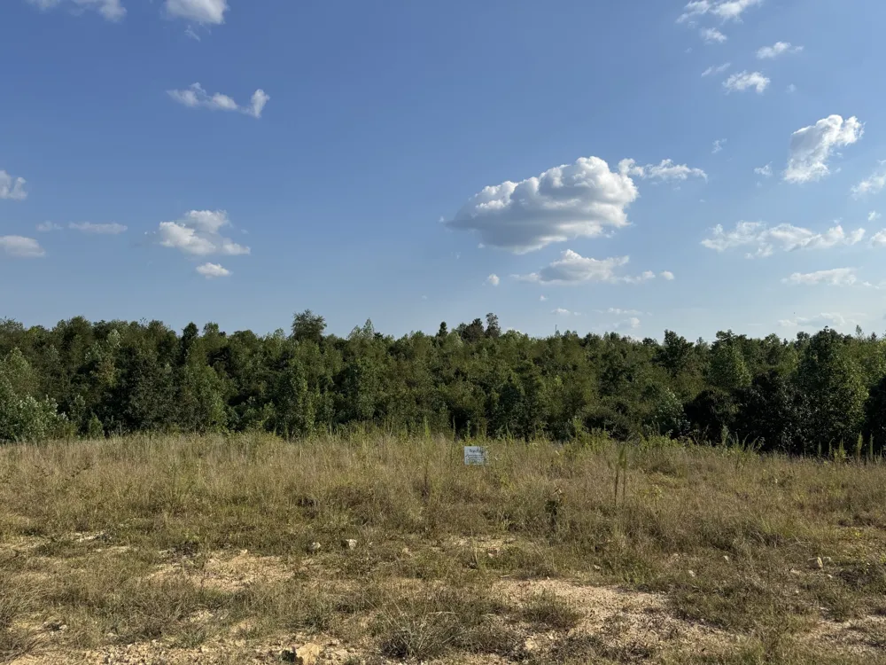 169 Twin Pines Rd Lobelville, TN 37097