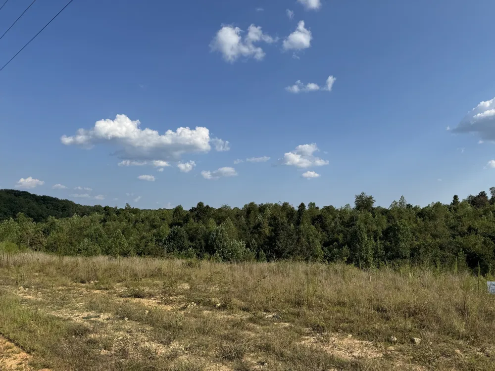 169 Twin Pines Rd Lobelville, TN 37097