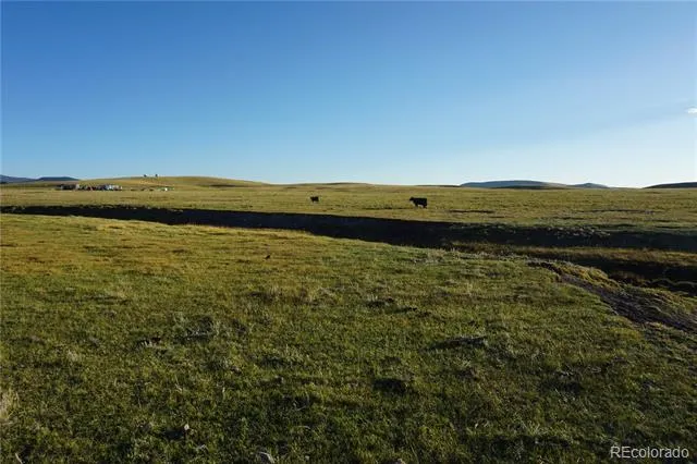 770 Pawnee Trail Hartsel, CO 80449