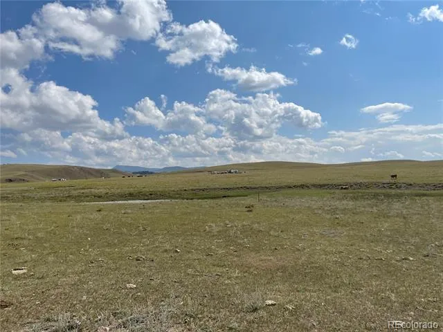 770 Pawnee Trail Hartsel, CO 80449