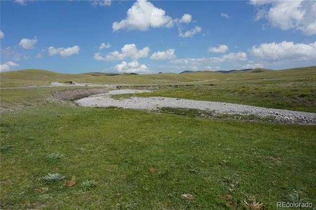 770 Pawnee Trail Hartsel, CO 80449