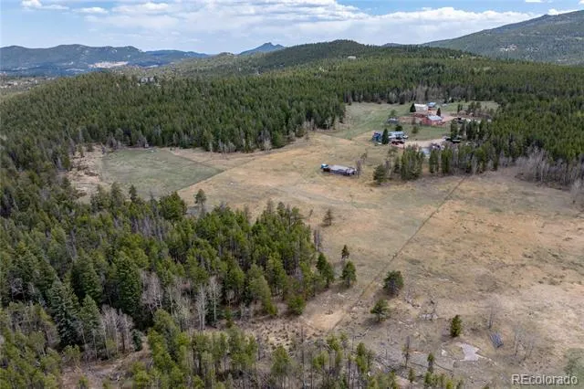 31511 Shadow Mountain Drive Conifer, CO 80433