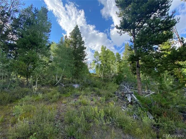 226 County Road 863 Tabernash, CO 80478