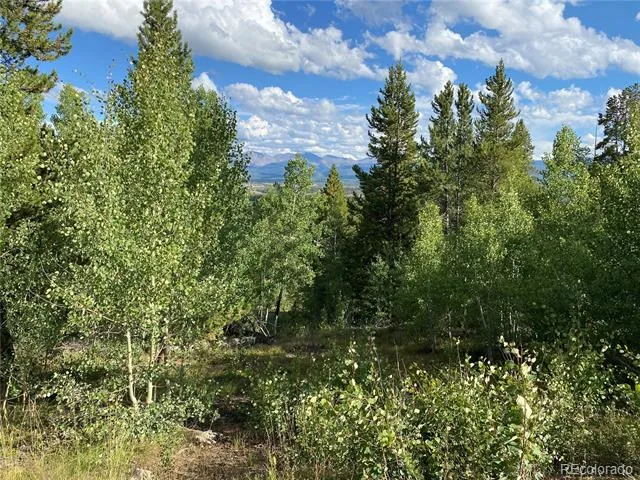 226 County Road 863 Tabernash, CO 80478