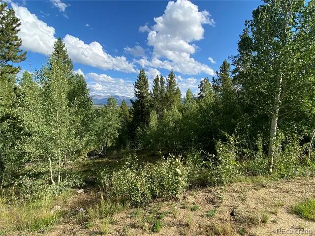 226 County Road 863 Tabernash, CO 80478