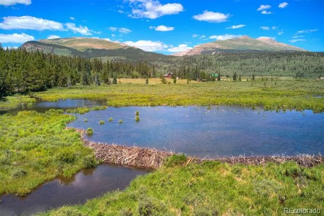 Address Not Shown Alma, CO 80420