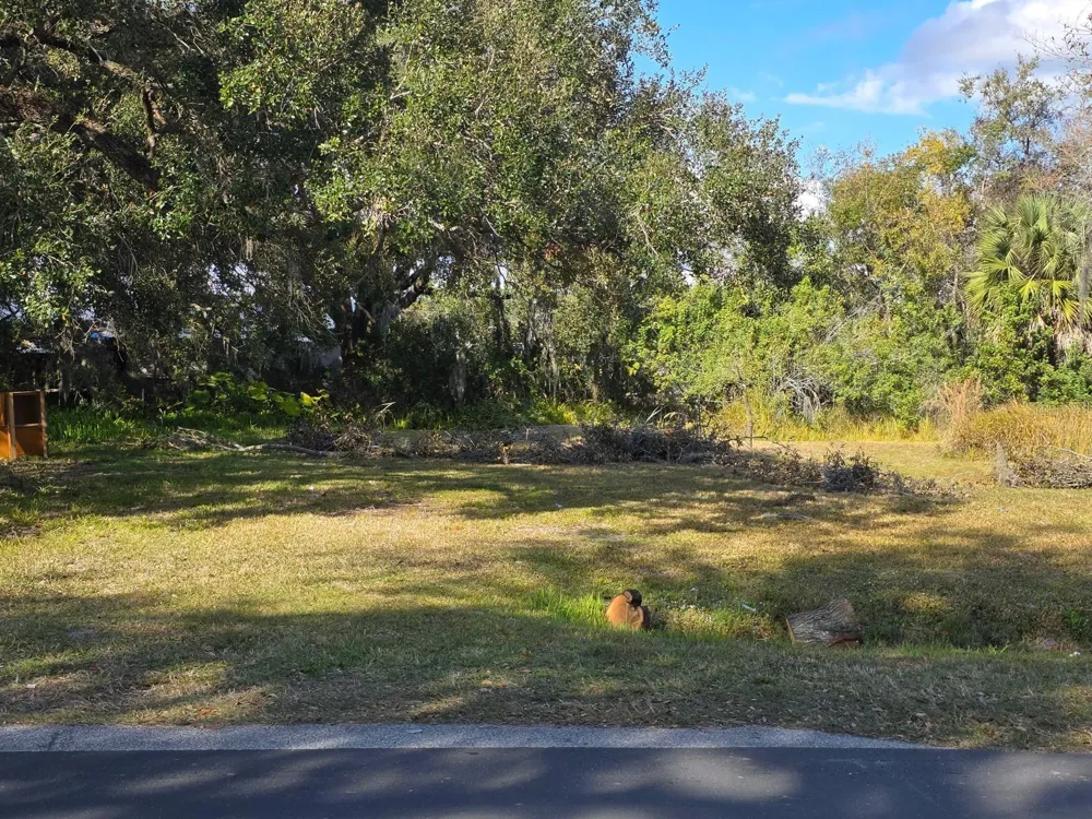 403 GREENUP STREET Kissimmee, FL 34744