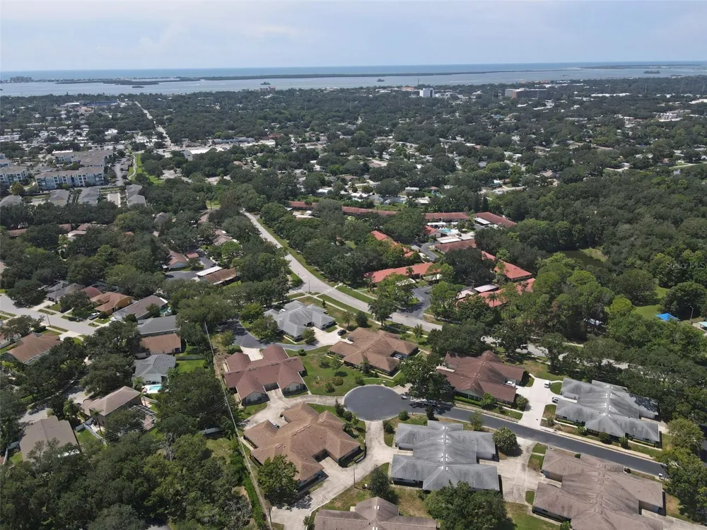 1251 SUTHERLAND COURT Dunedin, FL 34698
