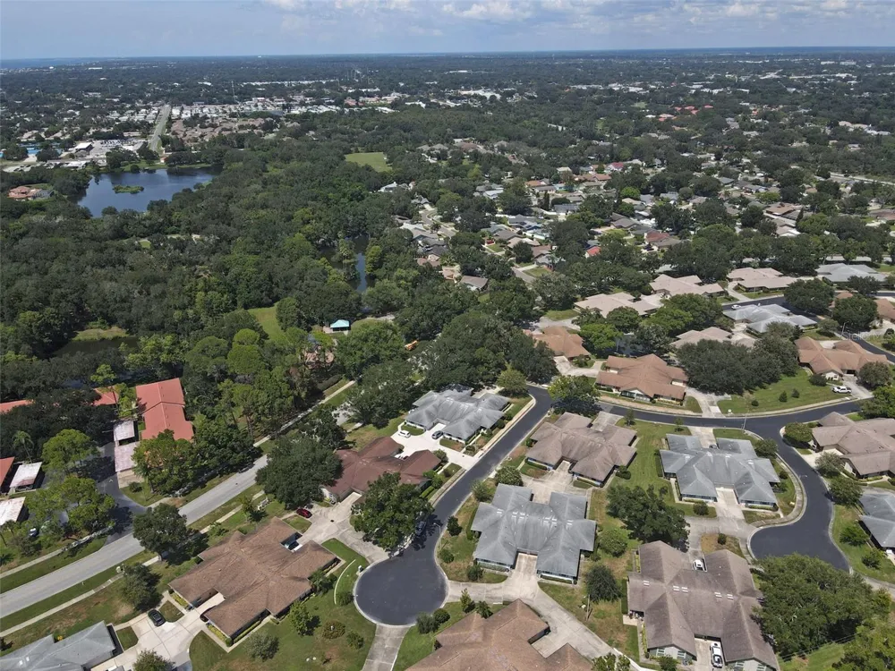 1251 SUTHERLAND COURT Dunedin, FL 34698
