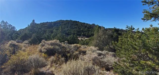 Address Not Shown San Luis, CO 81152