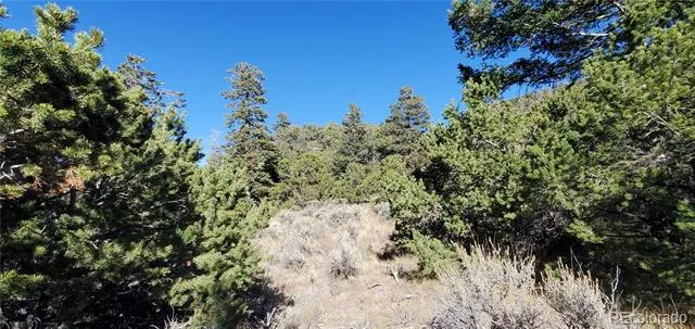 Address Not Shown San Luis, CO 81152