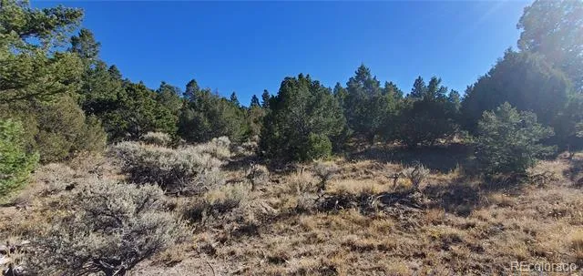 Address Not Shown San Luis, CO 81152