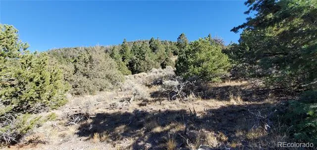 Address Not Shown San Luis, CO 81152