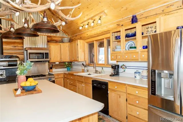 108 Forest Road #552 Creede, CO 81130