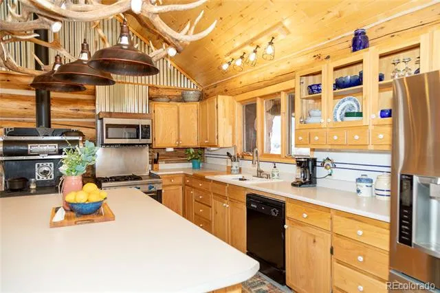 108 Forest Road #552 Creede, CO 81130