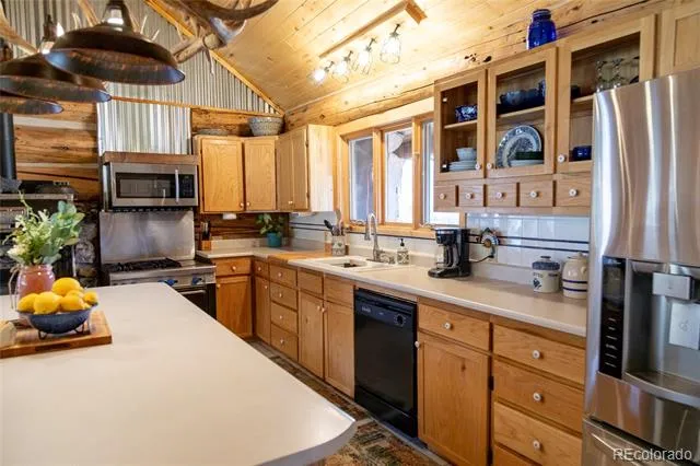 108 Forest Road #552 Creede, CO 81130