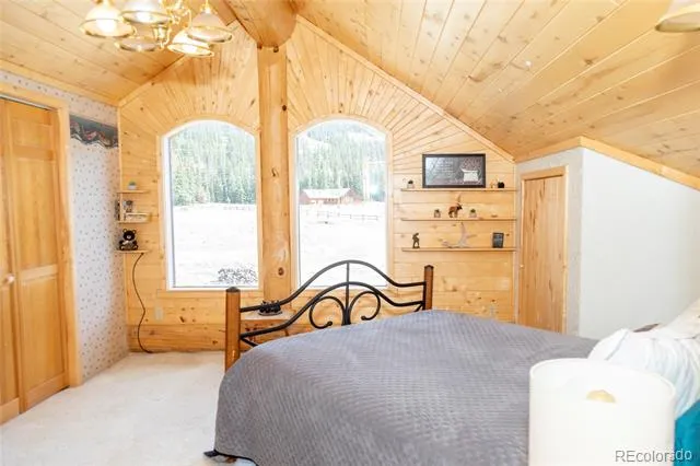 108 Forest Road #552 Creede, CO 81130