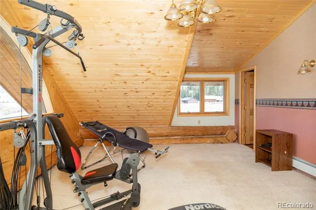 108 Forest Road #552 Creede, CO 81130