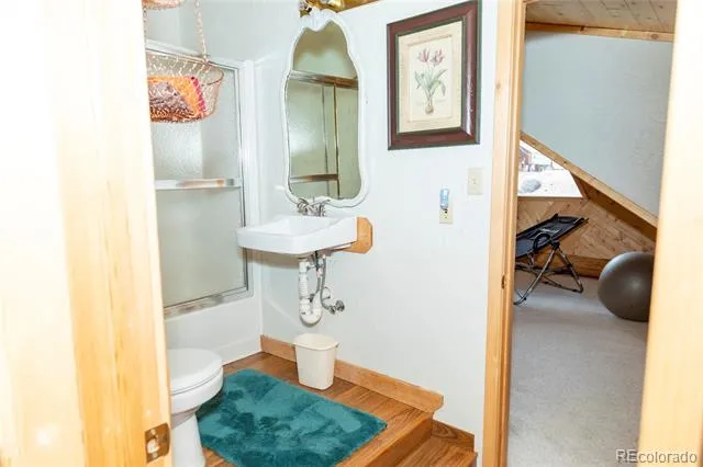 108 Forest Road #552 Creede, CO 81130