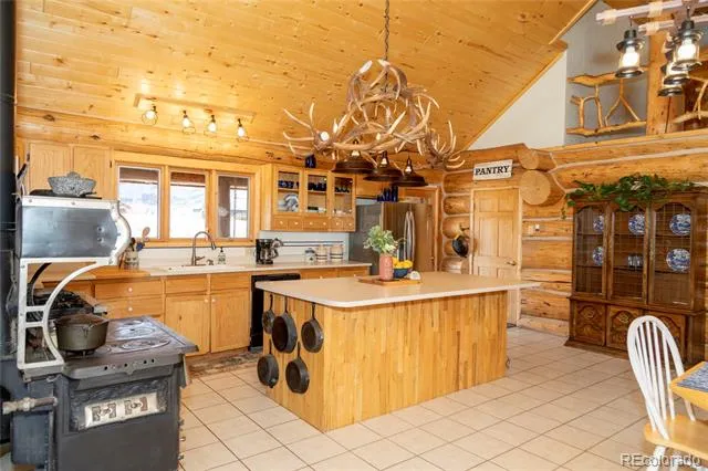 108 Forest Road #552 Creede, CO 81130
