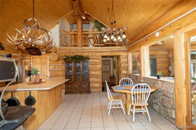 108 Forest Road #552 Creede, CO 81130