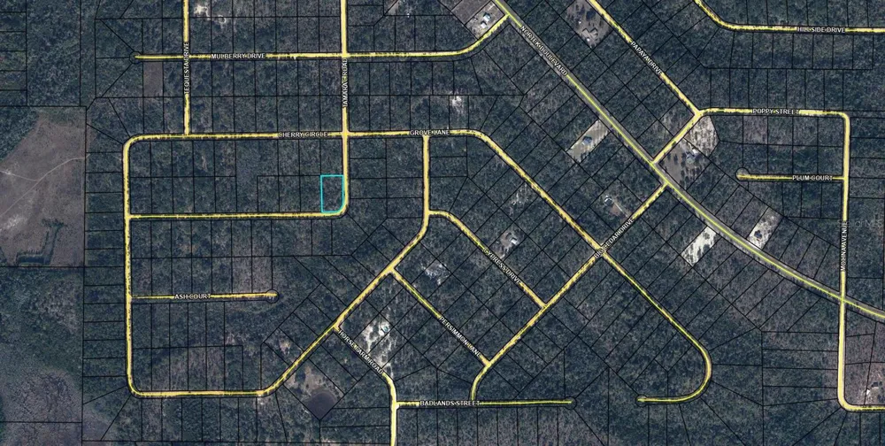 TBD TAMARAC ROAD Marianna, FL 32448