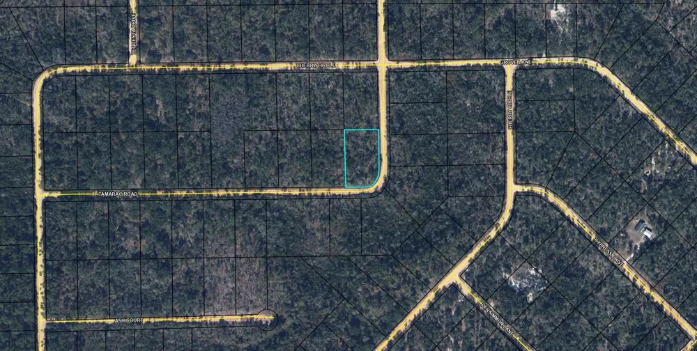 TBD TAMARAC ROAD Marianna, FL 32448