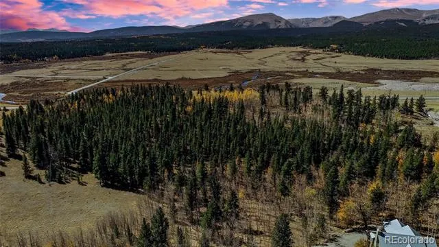 425 Platte River Drive Fairplay, CO 80440