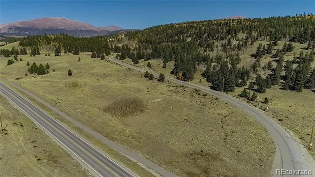 425 Platte River Drive Fairplay, CO 80440