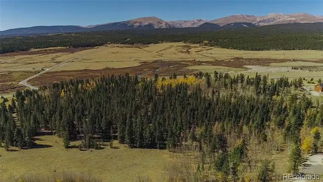 425 Platte River Drive Fairplay, CO 80440