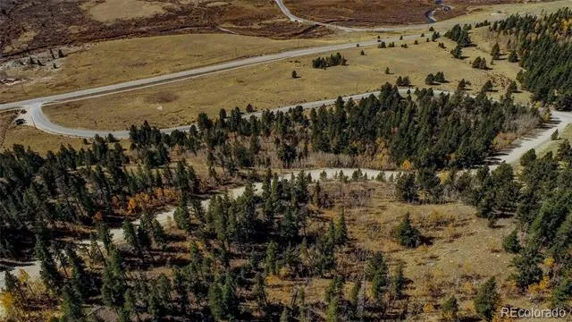 425 Platte River Drive Fairplay, CO 80440