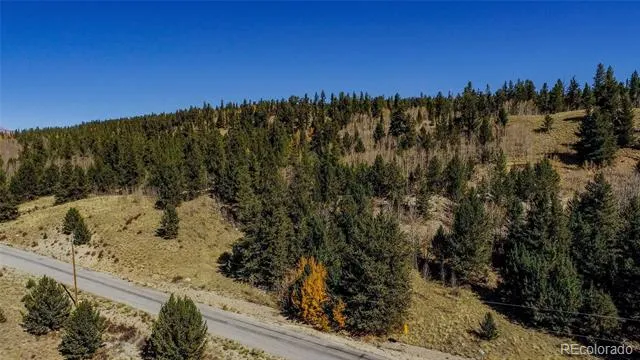 425 Platte River Drive Fairplay, CO 80440