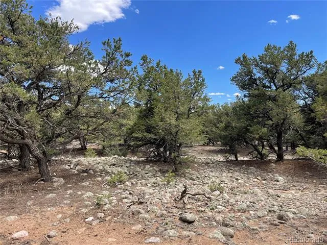 3855 Jubilant Way Crestone, CO 81131