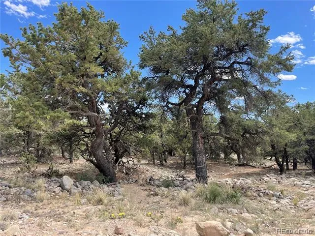 3855 Jubilant Way Crestone, CO 81131