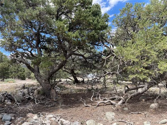 3855 Jubilant Way Crestone, CO 81131