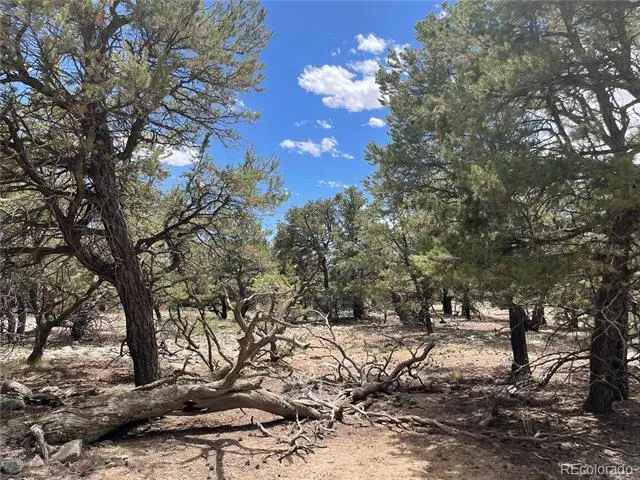 3855 Jubilant Way Crestone, CO 81131