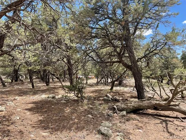 3855 Jubilant Way Crestone, CO 81131
