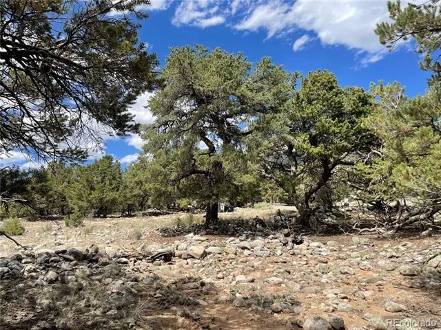 3855 Jubilant Way Crestone, CO 81131