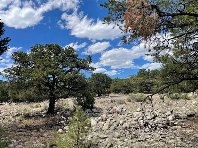 3855 Jubilant Way Crestone, CO 81131