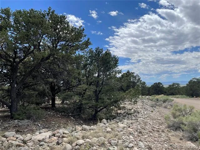 3855 Jubilant Way Crestone, CO 81131