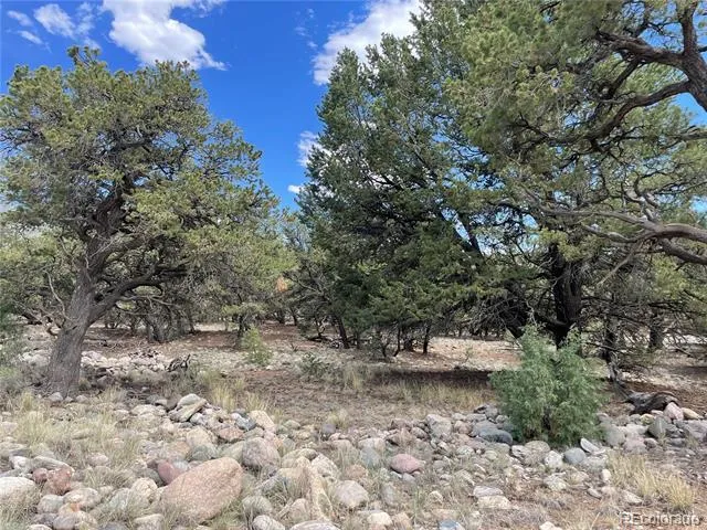 3855 Jubilant Way Crestone, CO 81131