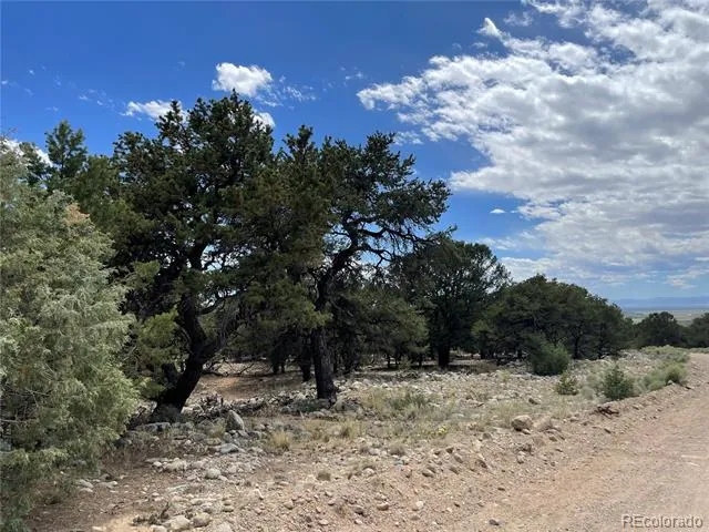 3855 Jubilant Way Crestone, CO 81131
